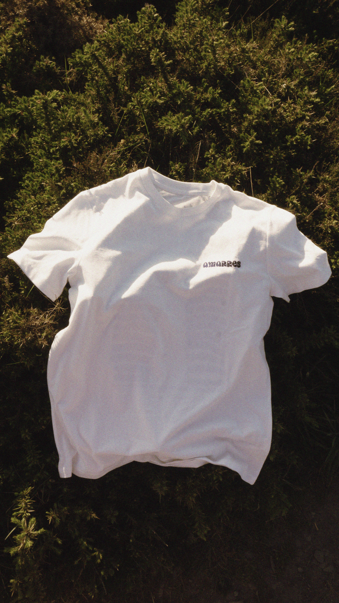 TEE LA MARINIÈRE - blanc